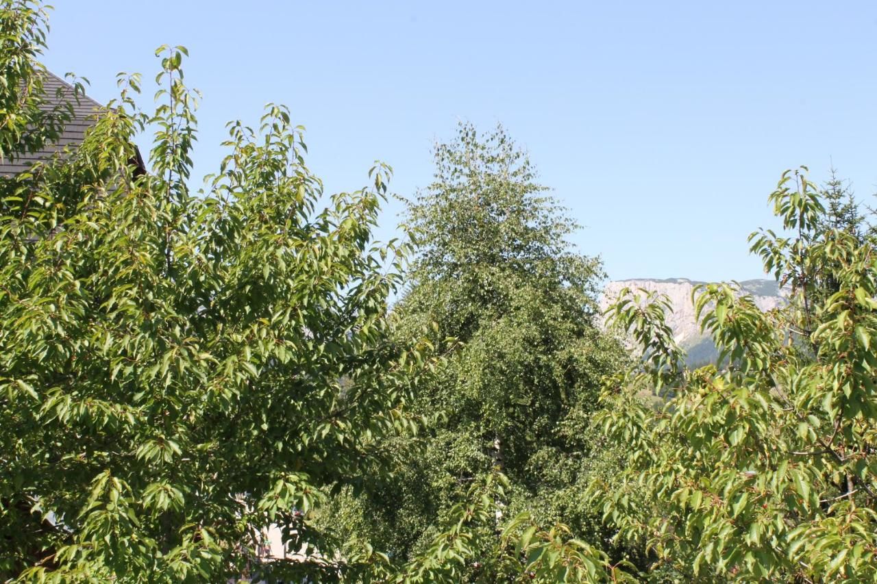 Отели типа «постель и завтрак» Guest House Milena Vučinić Жабляк