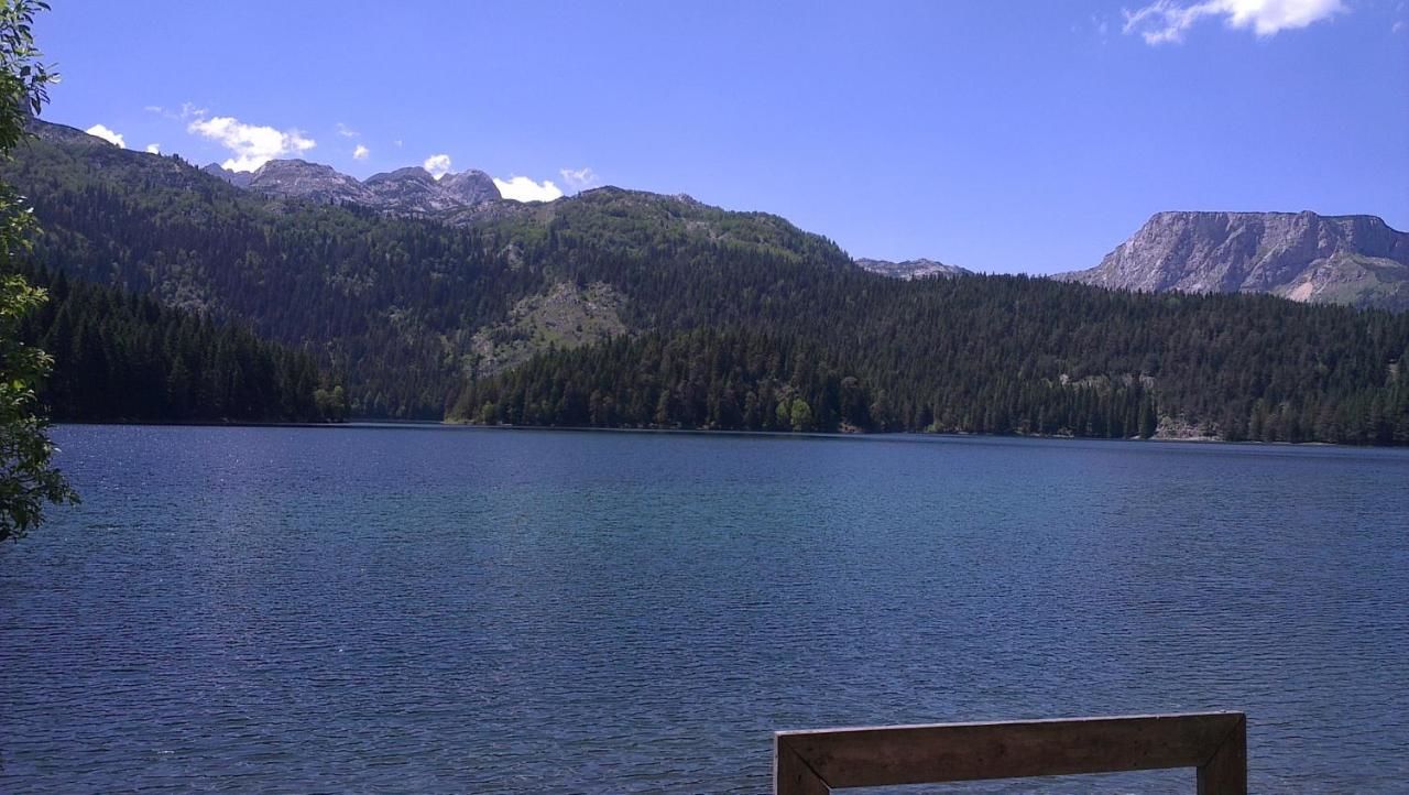 Отели типа «постель и завтрак» Guest House Milena Vučinić Жабляк-34