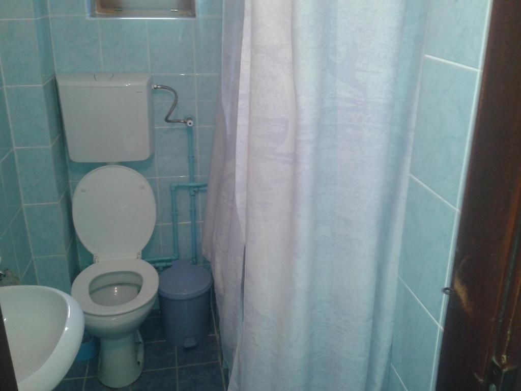 Отели типа «постель и завтрак» Guest House Milena Vučinić Жабляк-58