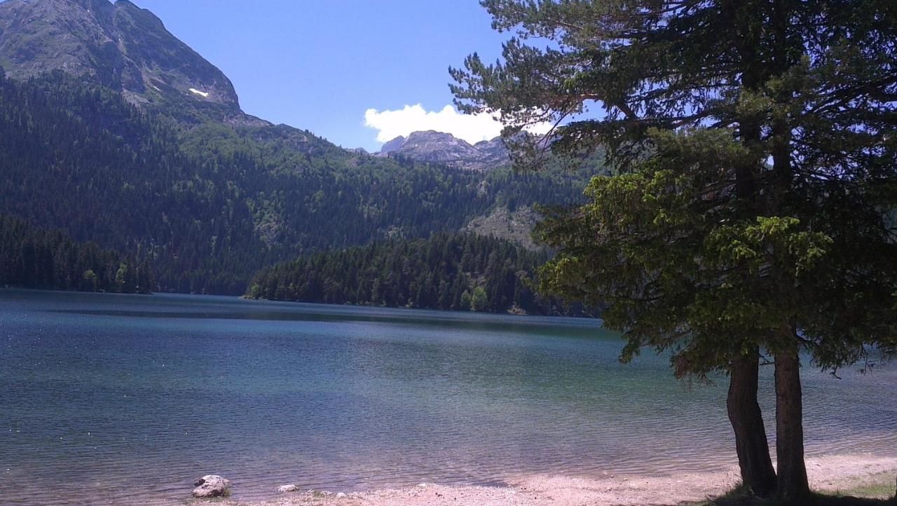 Отели типа «постель и завтрак» Guest House Milena Vučinić Жабляк-10