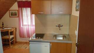 Отели типа «постель и завтрак» Guest House Milena Vučinić Жабляк Апартаменты с 1 спальней, вид на сад-7