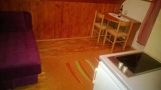 Отели типа «постель и завтрак» Guest House Milena Vučinić Жабляк Апартаменты с 1 спальней, вид на сад-8