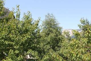 Отели типа «постель и завтрак» Guest House Milena Vučinić Жабляк Апартаменты с 1 спальней-3