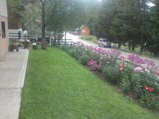 Отели типа «постель и завтрак» Guest House Milena Vučinić Жабляк Апартаменты с 1 спальней-9