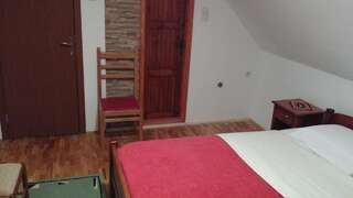 Отели типа «постель и завтрак» Guest House Milena Vučinić Жабляк Апартаменты с 1 спальней-10