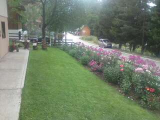 Отели типа «постель и завтрак» Guest House Milena Vučinić Жабляк Апартаменты с 1 спальней-22