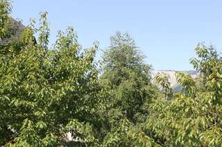 Отели типа «постель и завтрак» Guest House Milena Vučinić Жабляк Апартаменты с 1 спальней-27