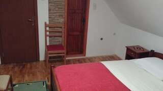 Отели типа «постель и завтрак» Guest House Milena Vučinić Жабляк Апартаменты с 1 спальней-28