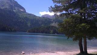 Отели типа «постель и завтрак» Guest House Milena Vučinić Жабляк-6