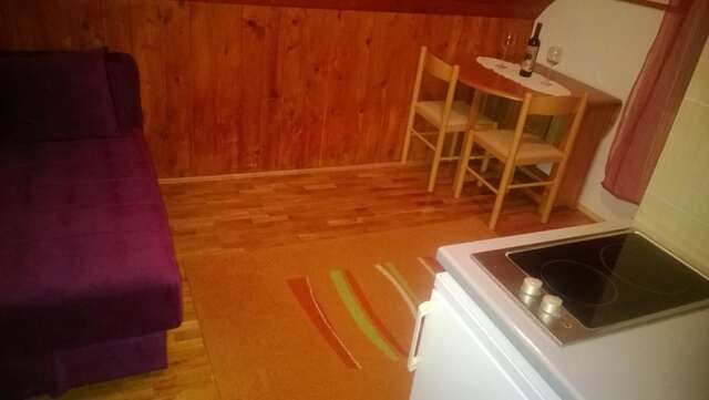 Отели типа «постель и завтрак» Guest House Milena Vučinić Жабляк-19