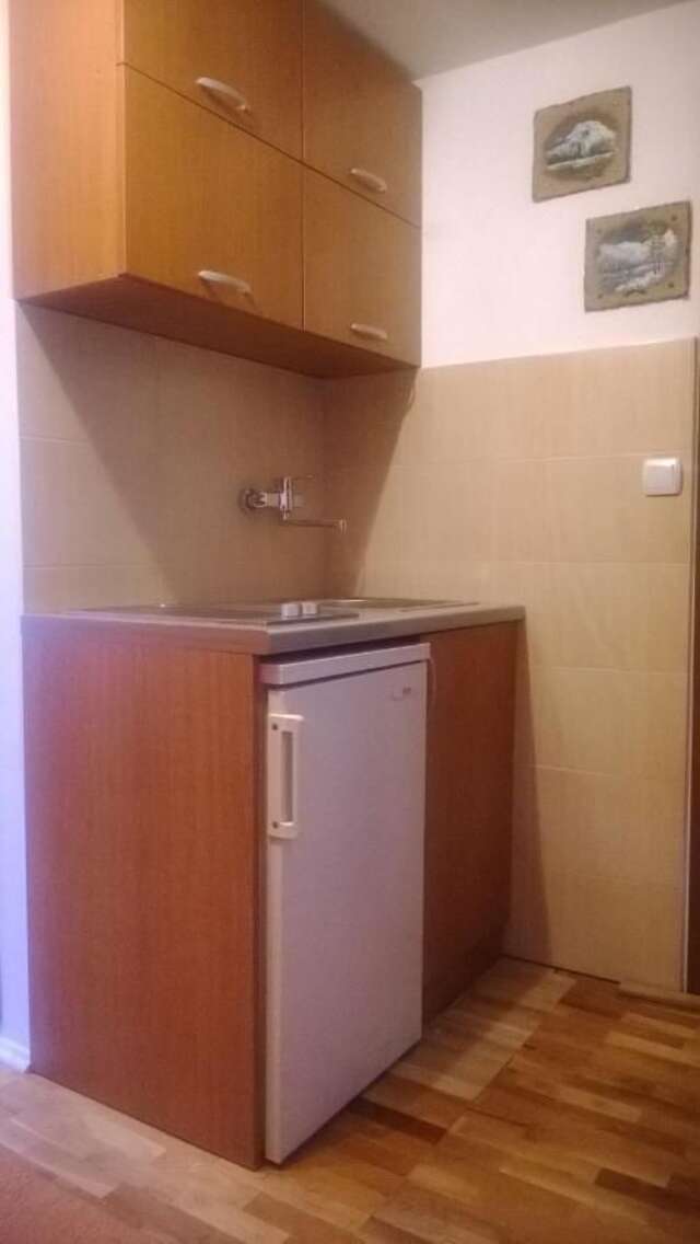 Отели типа «постель и завтрак» Guest House Milena Vučinić Жабляк-31