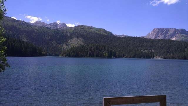 Отели типа «постель и завтрак» Guest House Milena Vučinić Жабляк-33