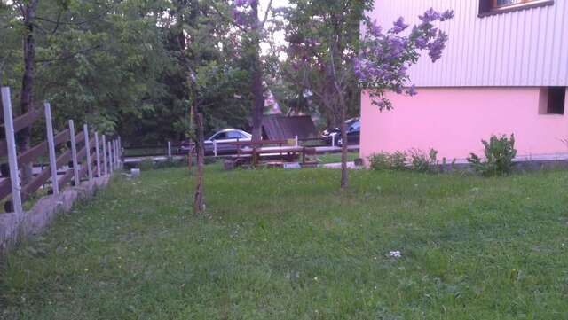 Отели типа «постель и завтрак» Guest House Milena Vučinić Жабляк-35