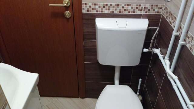 Отели типа «постель и завтрак» Guest House Milena Vučinić Жабляк-42