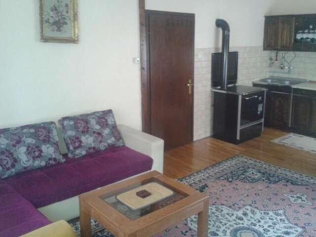 Отели типа «постель и завтрак» Guest House Milena Vučinić Жабляк-48