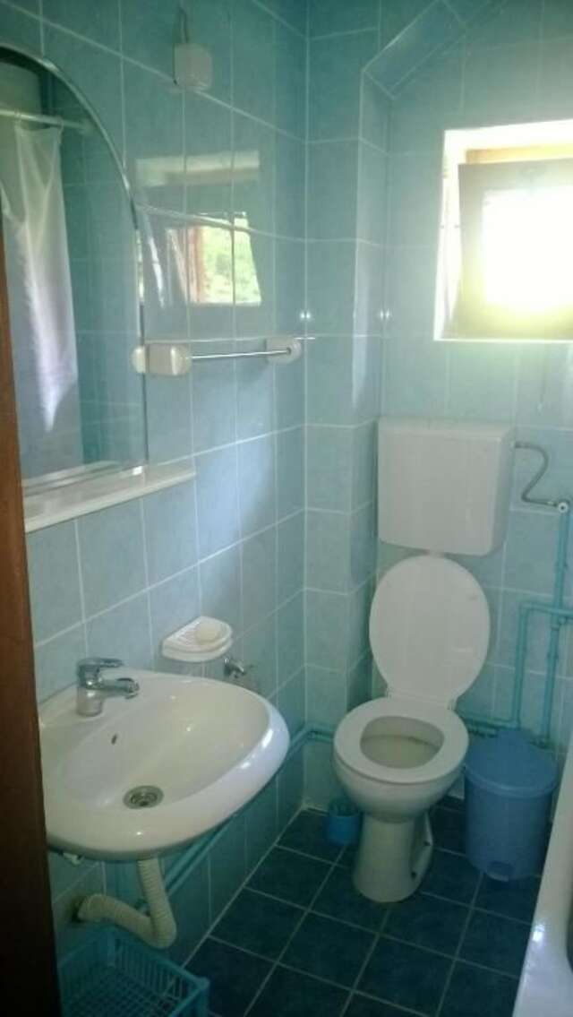 Отели типа «постель и завтрак» Guest House Milena Vučinić Жабляк-56