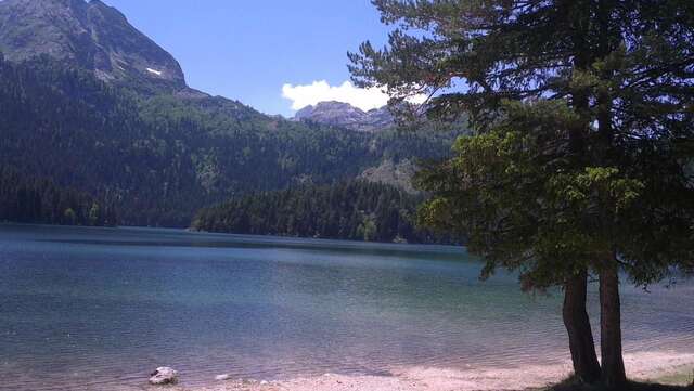 Отели типа «постель и завтрак» Guest House Milena Vučinić Жабляк-9