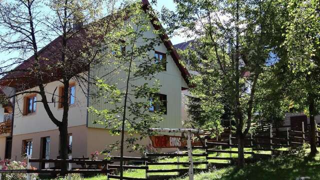 Отели типа «постель и завтрак» Guest House Milena Vučinić Жабляк-10